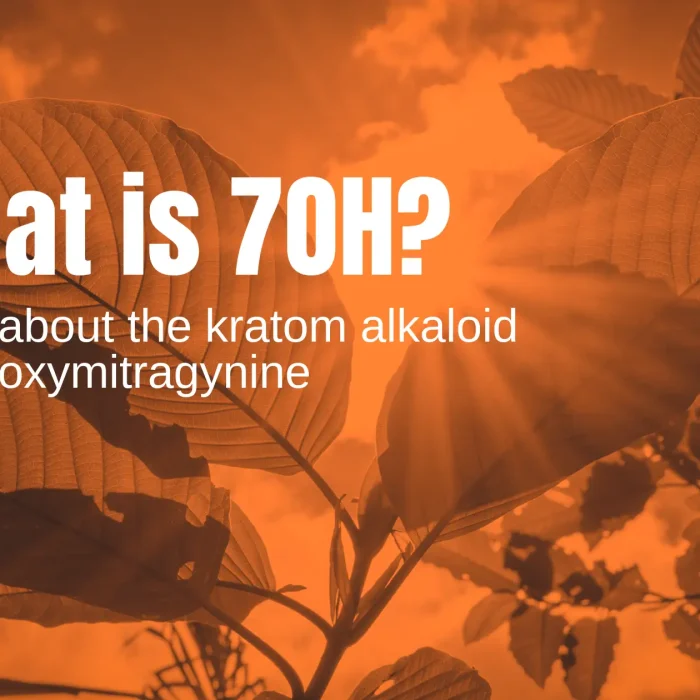 What Is 7Oh Header, 7-Hydroxymitragynine Alkaloid In Kratom
